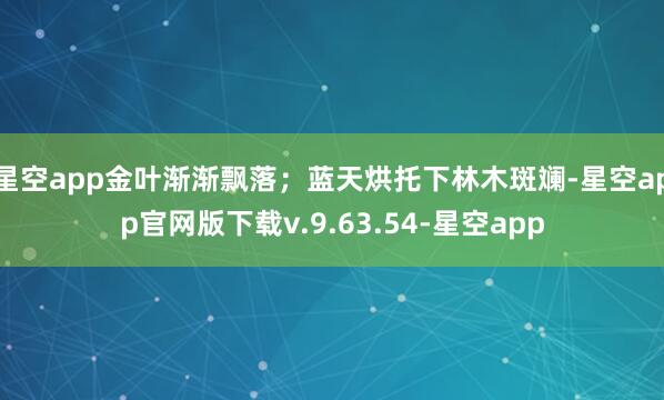 星空app金叶渐渐飘落；蓝天烘托下林木斑斓-星空app官网版下载v.9.63.54-星空app